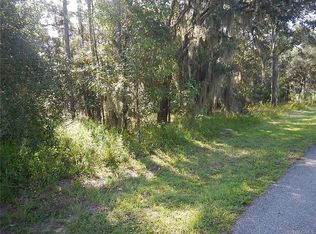 461 N Seton Ave, Lecanto, FL 34461