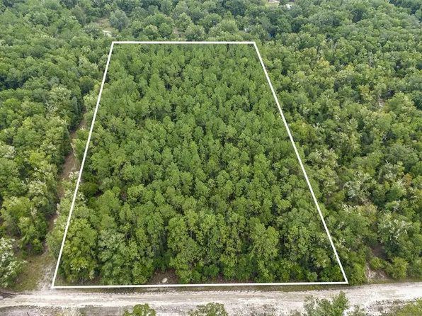 SW Dana Gln Lot 2, Fort White, FL 32038
