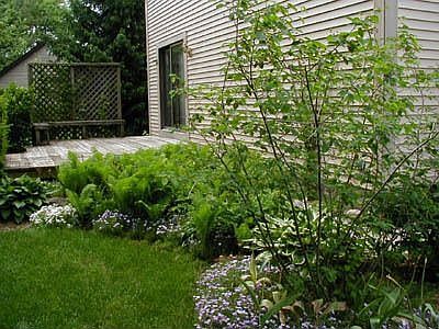 Deck and side garden