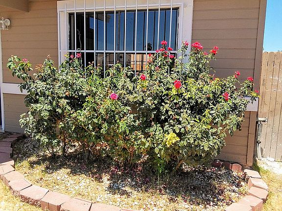 4th image of 1784 W Great Oak Dr