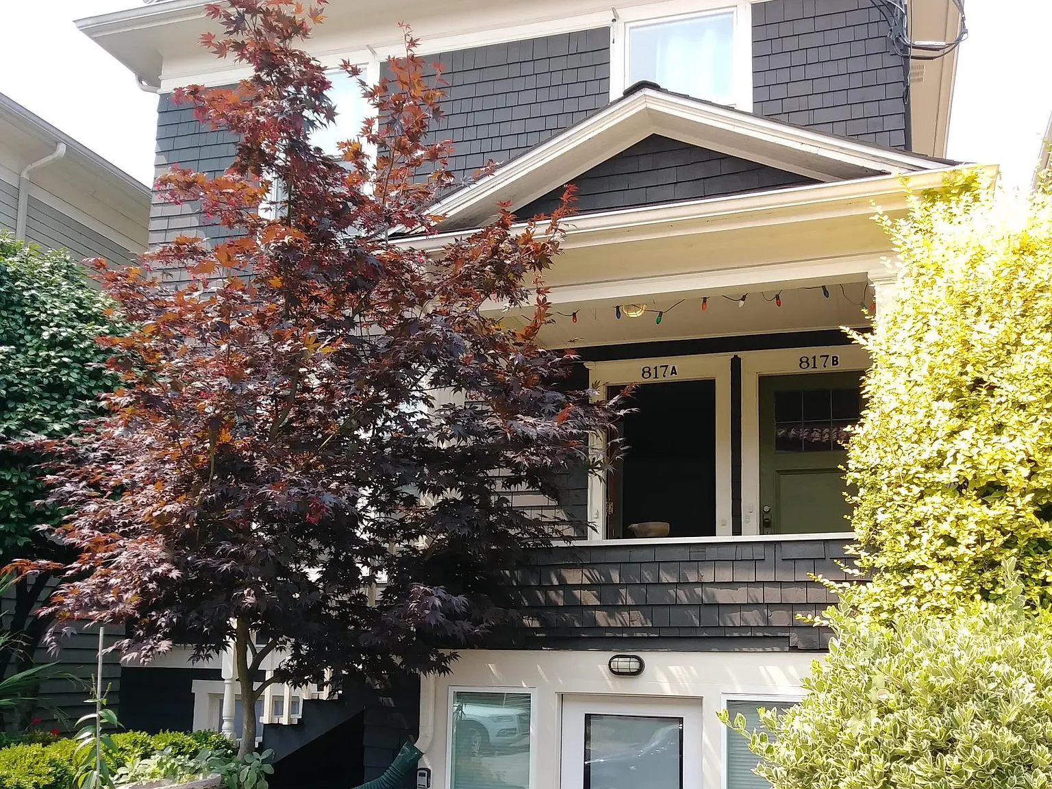 4 bed, 1.5 bath, 808 sqft, $3,990 — Photo 1