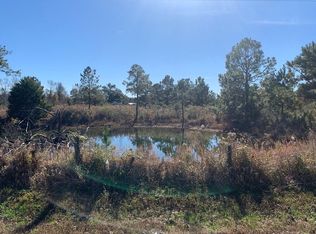 7700 Damascus Hilton Rd, Blakely, GA 39823