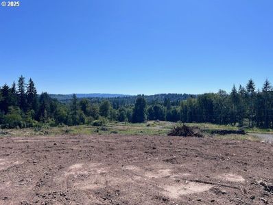 Nick Thomas Rd, Rainier, OR, 97048