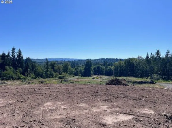 Nick Thomas Rd, Rainier, OR 97048