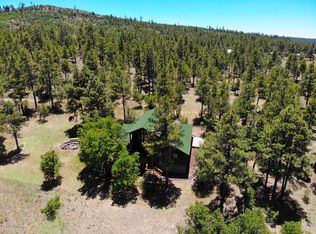 719 Old Standard Mill Rd, Show Low, AZ 85901