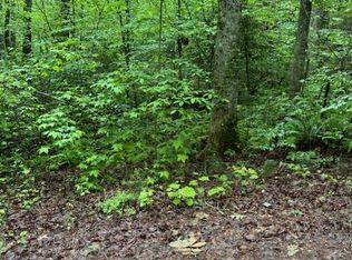 19 Almond Cir, Ellijay, GA 30540