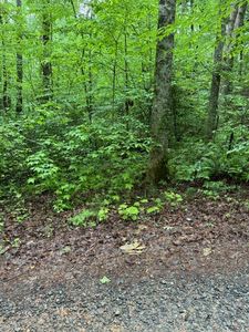 19 Almond Cir, Ellijay, GA, 30540