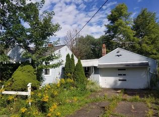 10950 Bell St, Newbury, OH 44065