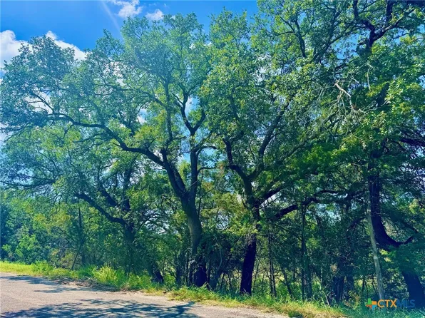 21611 Falcon Ln, Leander, TX 78645