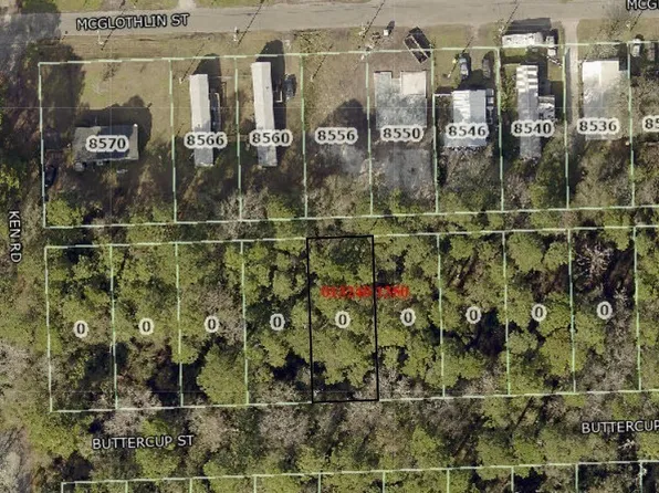 Buttercup St, Jacksonville, FL 32210