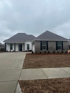 44 Perch Pl, Freeport, FL, 32439