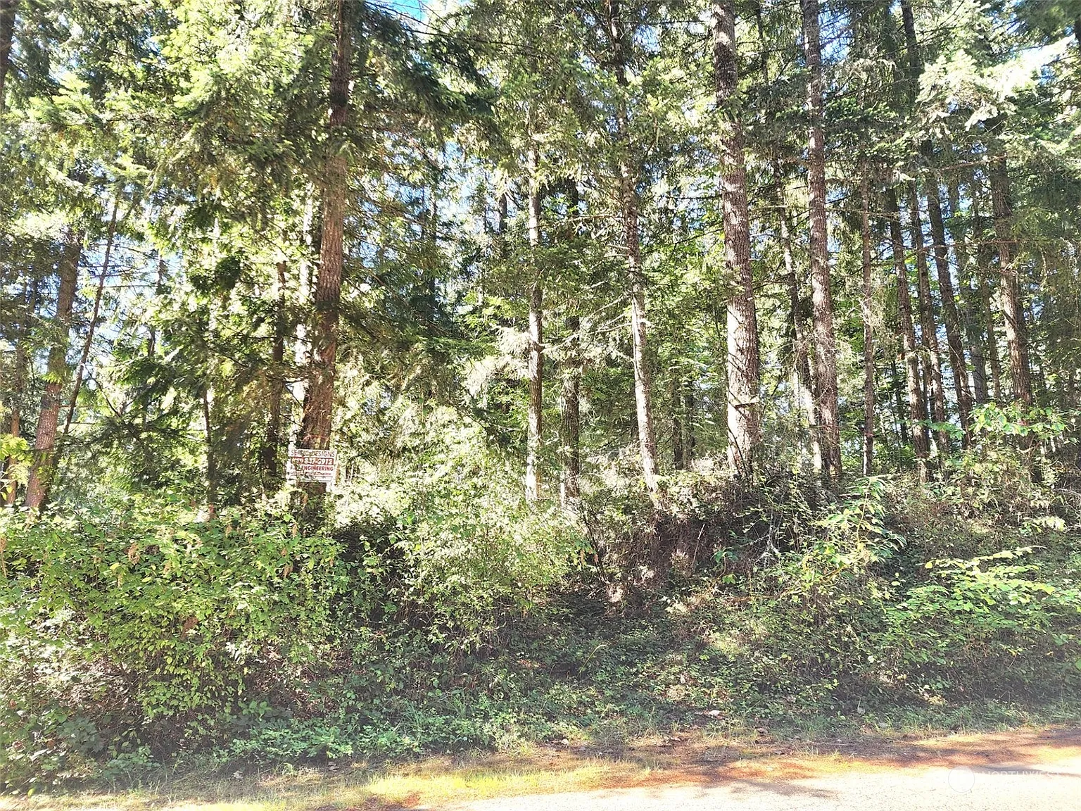 22224 Bluewater Drive SE photo 1