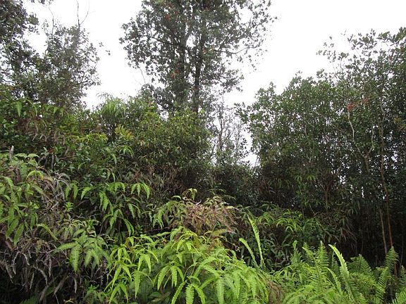4th image of Pikake St Lot 11