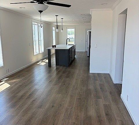 3rd image of 4198 Shalimar Dr