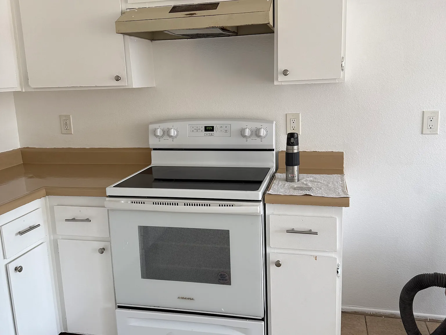 1 bed, 575 sqft, $1,850 — Photo 4
