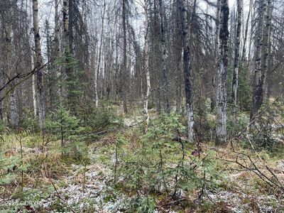 19772 E Montana Creek Rd, Talkeetna, AK, 99676