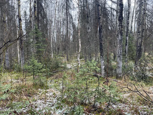 19772 E Montana Creek Rd, Talkeetna, AK 99676