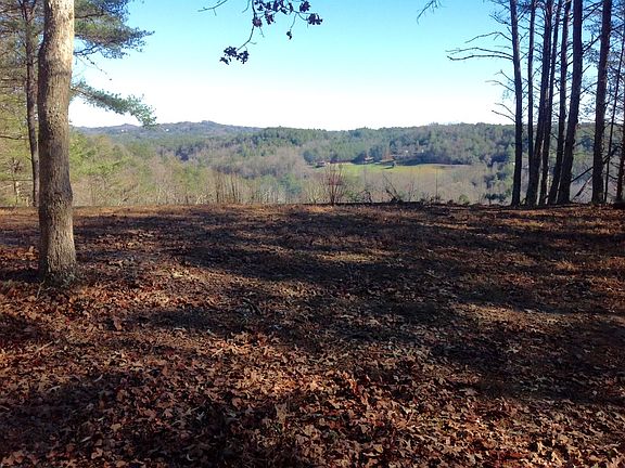 3rd image of Lt 2 Toccoa Vista Lane