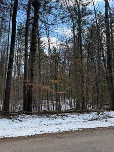 E Long Lake Rd, Danbury, WI, 54830