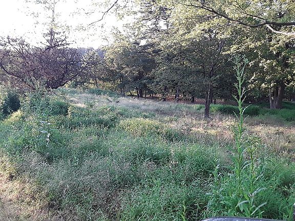 Many level building spots 