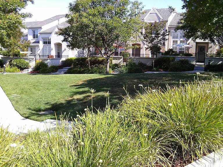 Green play area behind the house