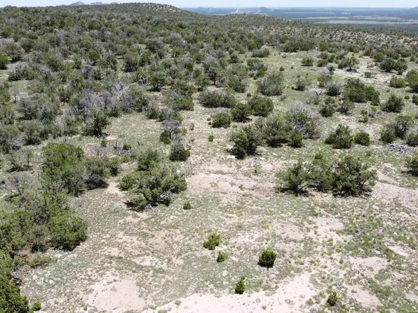 17 Sway Back Trl, Corona, NM 88318