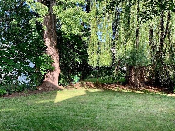 Backyard 1backyard