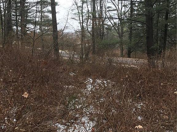 3rd image of 143 Cornell Dr
