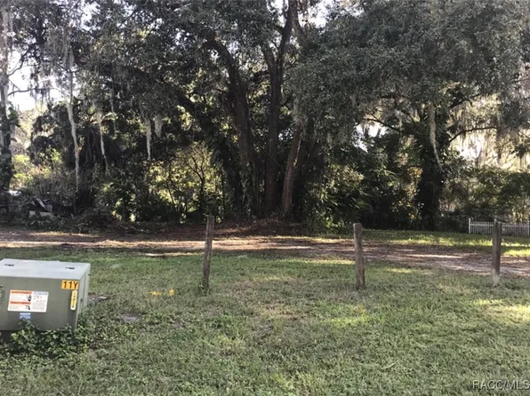 County Road 435, Lake Panasoffkee, FL 33538