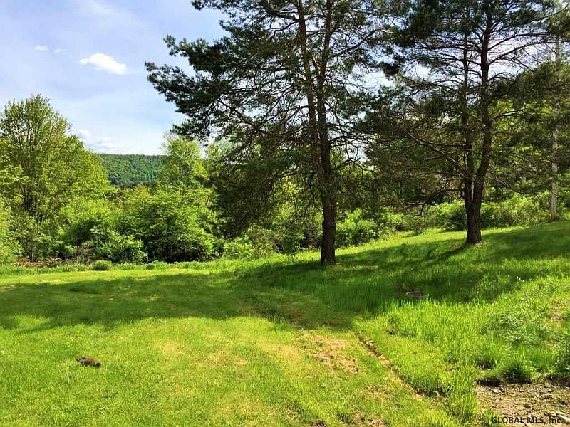 4th image of 225 CHARLOTTE VALLEY Road