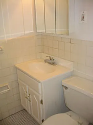 Rented by Eric Goodman Realty Corp | media 10