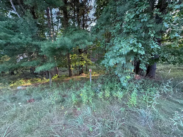 16313 Mitchell Creek Trl, Big Rapids, MI 49307