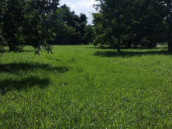 Image shows width of lot