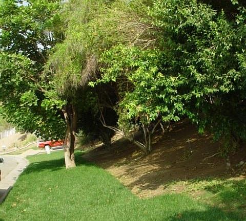 4th image of 7227 Quartz Hill Dr
