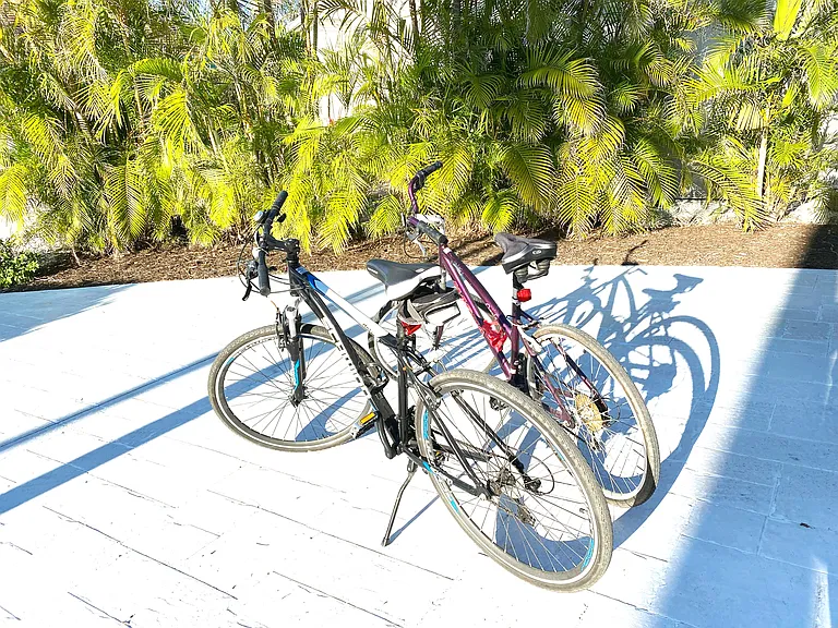 2 bicycles are at your disposal