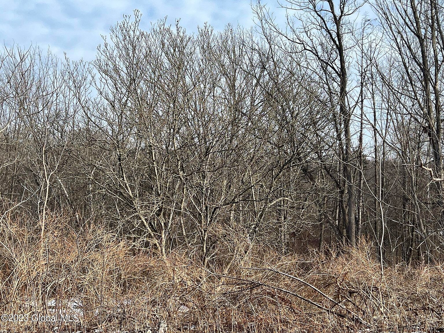 1171 Maple Hill Road, Castleton, NY 12033 MLS 202311353 Zillow