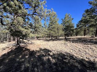 2712 Osage Trl, Westcliffe, CO 81252