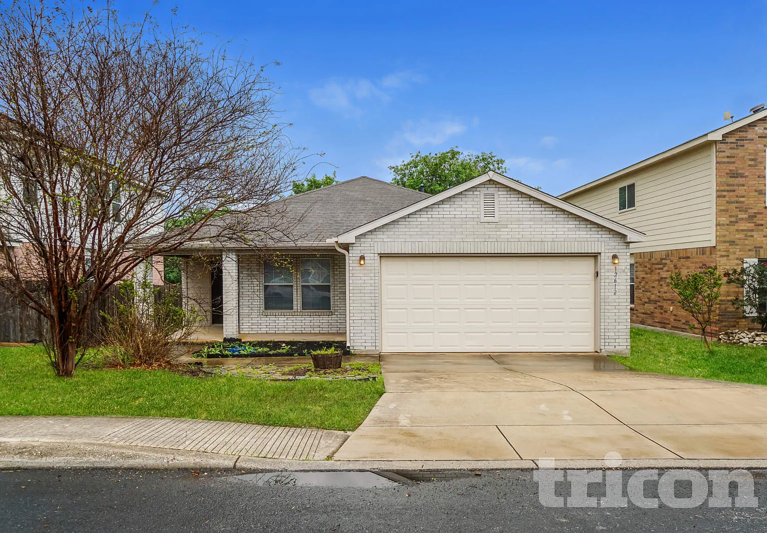 12612 Mexican Plum San Antonio TX — Photo 1