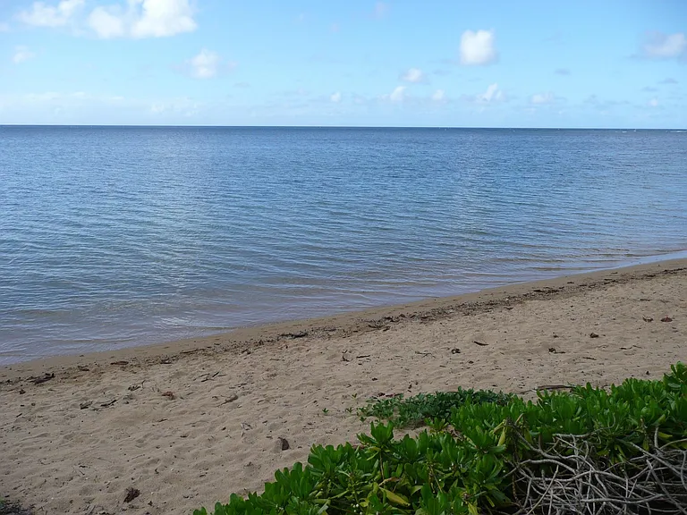 41176 Kuhio Hwy — Photo 6
