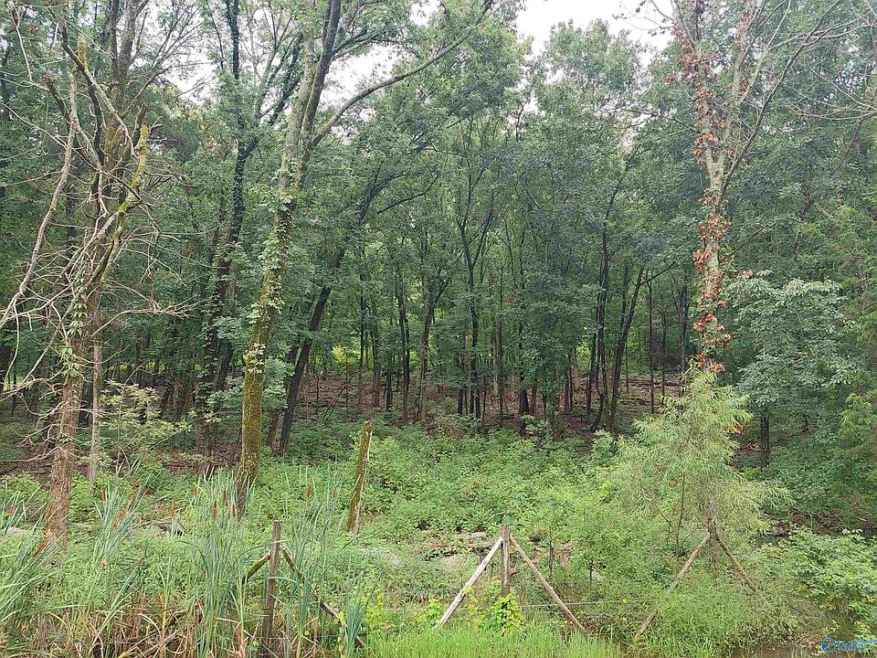 2nd image of W Lacon Rd