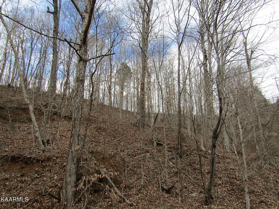 1st image of Livingston Hwy