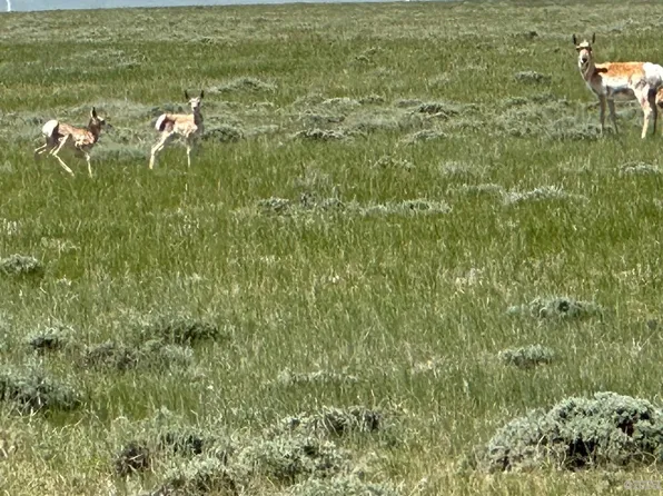 86 Cassidy River Rnch, Medicine Bow, WY 82329