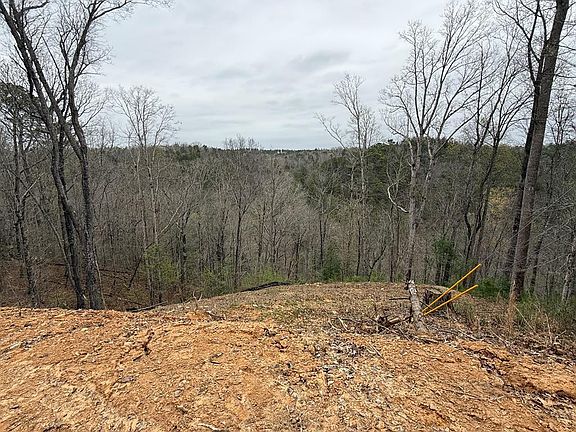2nd image of 135 Flat Ridge Rd