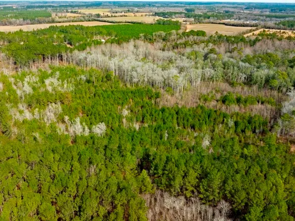 0 Riggs Mill Rd, Statesboro, GA 30458