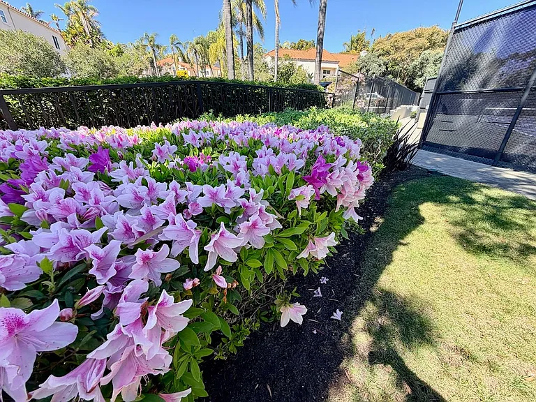 12973 Caminito Pointe Del Mar — Photo 76