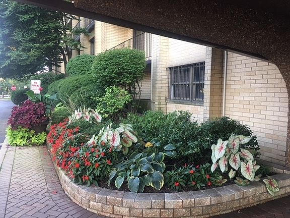 3rd image of 4601 W Touhy Ave APT 803