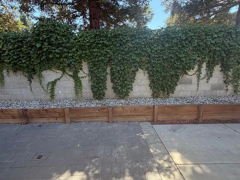 1425 Blue Squirrel St — Photo 21