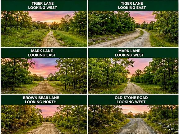 4th image of Eagle Bluff Rd Lot 155