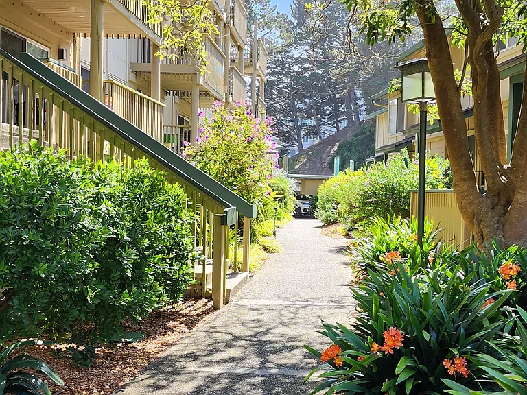 Mandarin Dr — Photo 17
