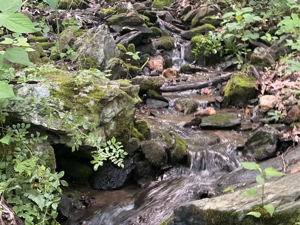 Mountain Glen Rd, Canton, NC 28716